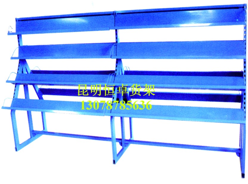 HZ-04型雙面圖書架