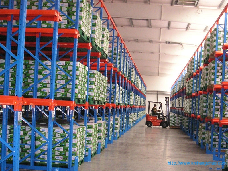 HZ-798型通廊式貨架 通廊式倉庫貨架應(yīng)用案例